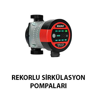 Rekorlu Sirkülasyon Pompaları