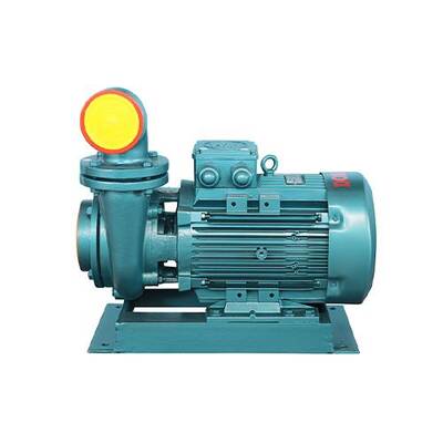 Domak SDM 325 25hp 380 Volt Santrifüj Pompa - 1