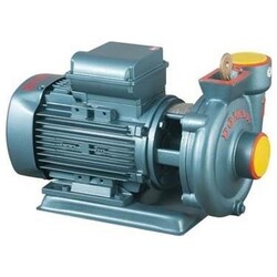 DOMAK SLG2 0.5HP 220V 2 inch Çıkışlı Santrifüj Pompa 2900dd - 1