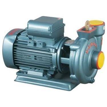 DOMAK SLG2 0.5HP 220V 2 inch Çıkışlı Santrifüj Pompa 2900dd - 1