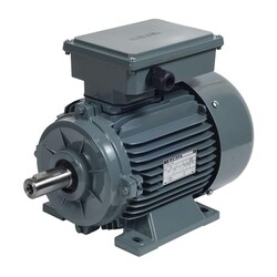 Gamak 0.75 Kw 3000 Devir 220 Volt Elektrik Motoru - 1