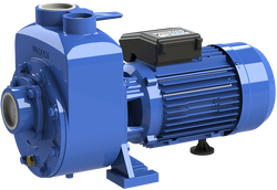 Sumak DSM220/2 Kendinden Klapeli Pompa Monofaze (220V) 2.2HP - 1