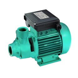 Wilo PV 30M Döküm Gövdeli Preferikal Pompa 0.5 Hp 35 mss 2 m3/h 220 Volt - 1